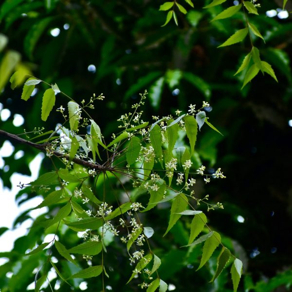 maitree-patel-rWWoelgz3So-unsplash