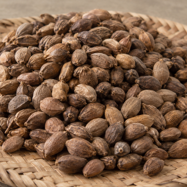 neem seed